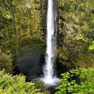 Tour group visiting Waipi'o Valley lookout point