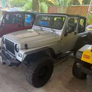 Open-air vintage champagne-colored Jeep parked on island road