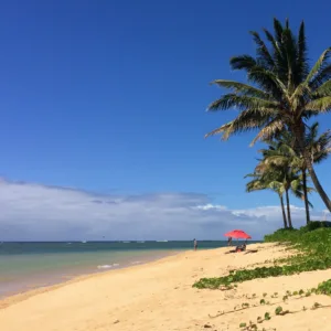 Six-hour private Kauai photography and nature tour