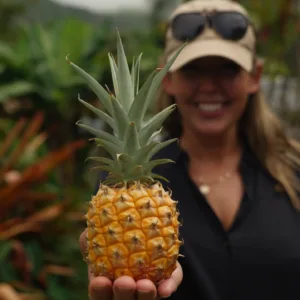 Tour group visiting Oahu’s famous beaches