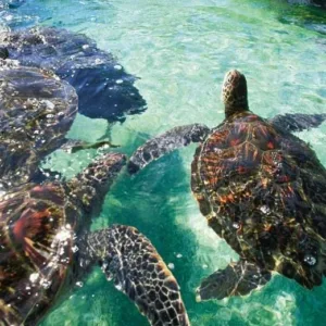 Guided Private Tours
