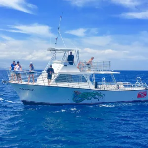Diver preparing to enter water at Big Island site