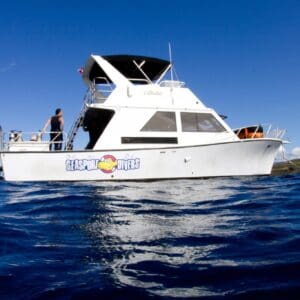 Afternoon 2 Tank Boat Dive