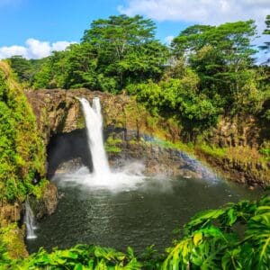 Big Island Highlights Day Tour – Award-Winning Day Tour