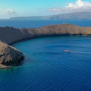 4 Hour Molokini Crater & Turtle Town Snorkeling