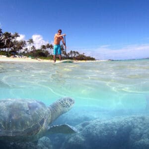 Self Guided Stand Up Paddle (SUP) Tour