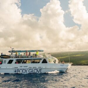 Deluxe Snorkel & Dolphin Watch