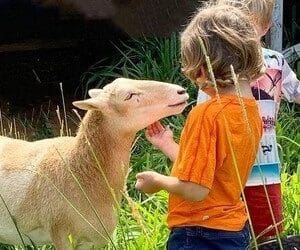 Private Sanctuary Tours