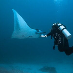 Public Scuba Charter