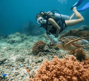 Morning 2-Tank Scuba Dive