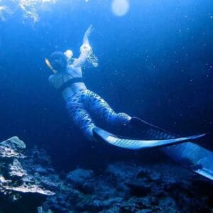 Snorkel and reef Exploration Adventure