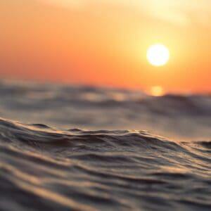 Public Sunset Cruise