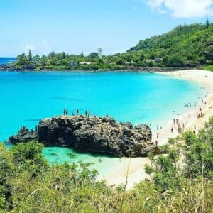 Tour of North Shore & Waimea Waterfall and Pali Lookout