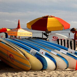 Surf Board Rental