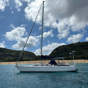 Private 5Hrs Island Tour with 2Hrs Sail and Snorkel with Turtles