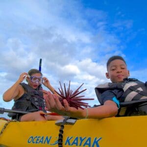 Kayak - The Mellow" Cruise"