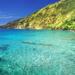Kealakekua/Captain Cook Adventure