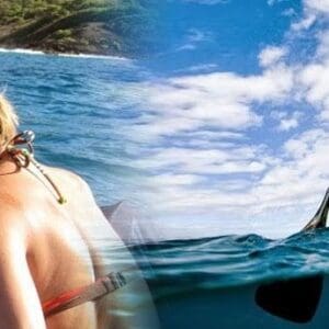 South Maui Turtle Reef Discovery