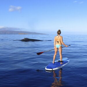 Paddleboard - Private “Whale” of a Whale Watch