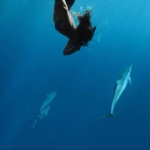 Lanai Snorkelling Half Day