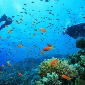 Advanced Open Water Certification