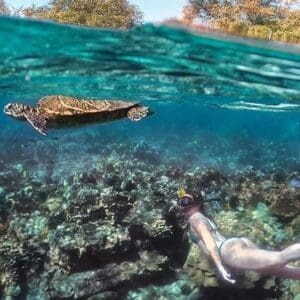 Discover Local Pawai Reef Afternoon Snorkeling Tour