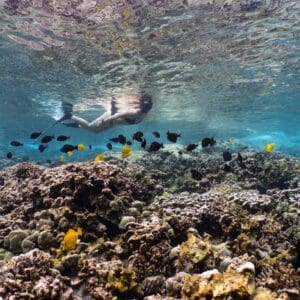 Captain Cook Monument Kealakekua Bay Snorkeling Tour
