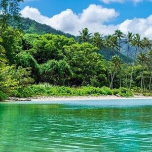 Kayak & SUP - 3 Hour Rentals