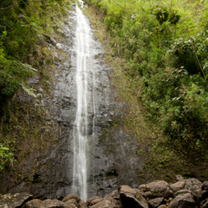 Diamond Head Crater & Hawaiian Waterfall Tour