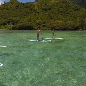 Stand Up Paddle / Kayak