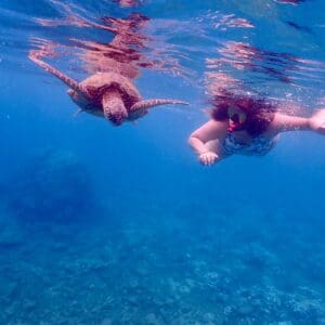 Snorkel with Turtles and Free Underwater Photos - Turtle Town