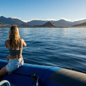 Dolphin Warrior - Dolphin Swim and Snorkel Tour