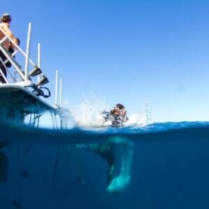 Morning 2 Tank Boat Dive for Experienced Divers