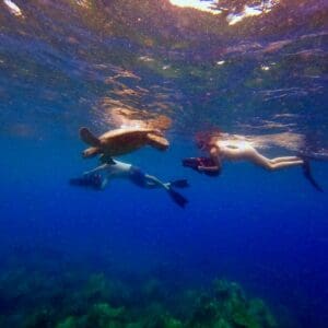 Sea Scooter Snorkeling Guided Tour - Turtle Town