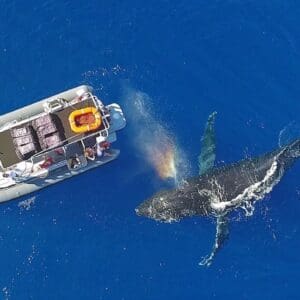 Custom Private Adventure for up to 18 passengers