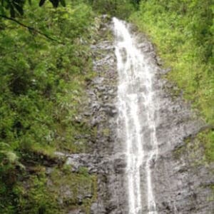 Hawaiian Beauty Package