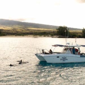 Private Charter Honu Lele