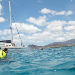Morning Turtle Snorkel