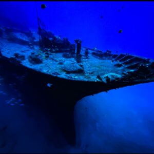 Magnificent 2 Tanks Deep Shipwrecks and Reef Boat Dive - Certified Only