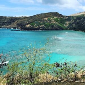 Aloha Beach Tour Hanauma Bay