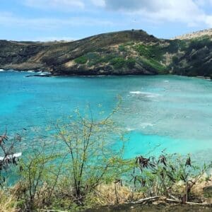 Aloha Beach Tour Hanauma Bay