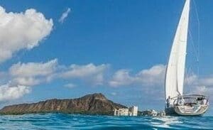 Sail & Sea Turtle Swim