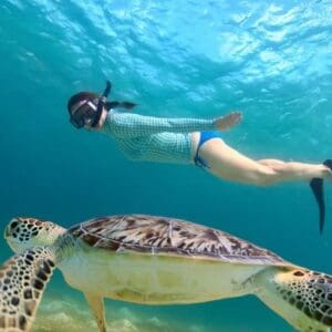 Turtle Canyon Snorkeling Cruise