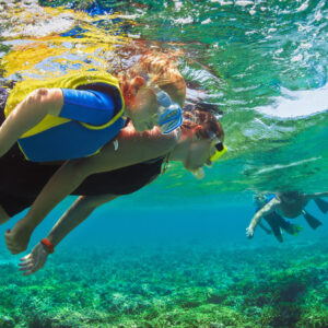 Guided Snorkel & Eco Tour