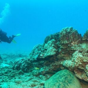 Koloa Landing 1-Tank Shore Dive