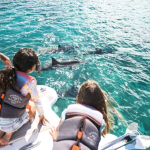 Venture Midday Wildlife Snorkel