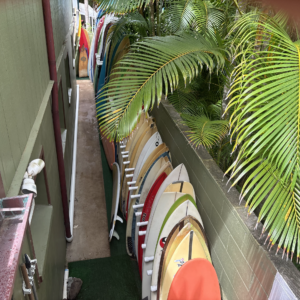 North Shore Surf Camp