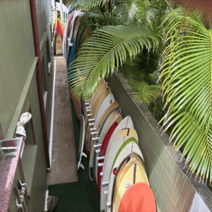 North Shore Surf Camp