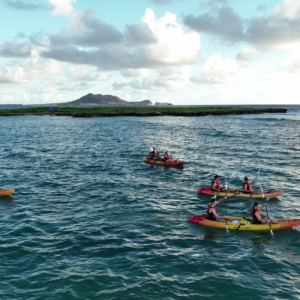 Popoia Island & Kailua Bay Guided Kayak Tour
