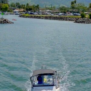 North Shore Boat Dive